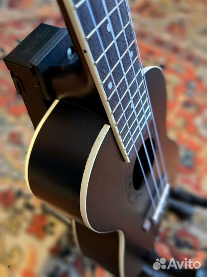 Укулеле концерт новая