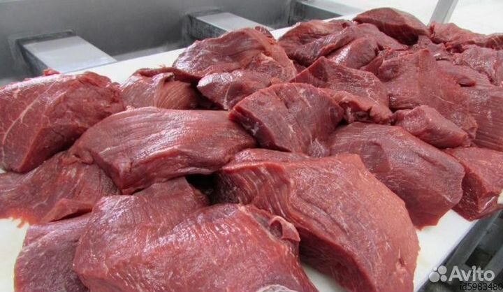 Доставка свежей говядины