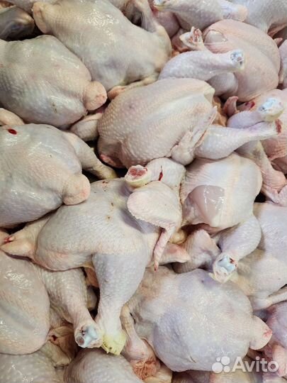 Цыплята бройлеры мясо