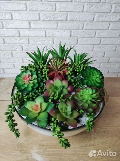 Флорариум. Суккуленты искусственные