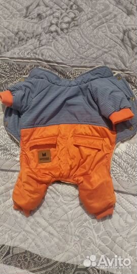 Комбинезон для маленькой собачки, новый