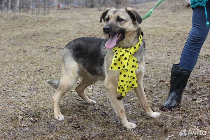Маленькую Октавию выбросили умирать