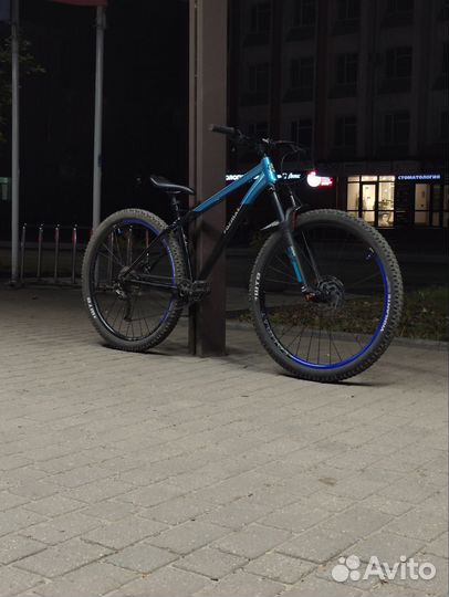 Format 1313 2023г 29