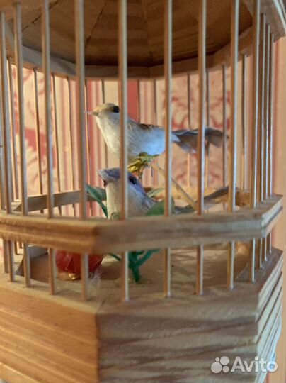 Музыка ветра - «птицы в клетке»