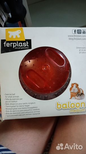 Прогулочный шар для грызунов