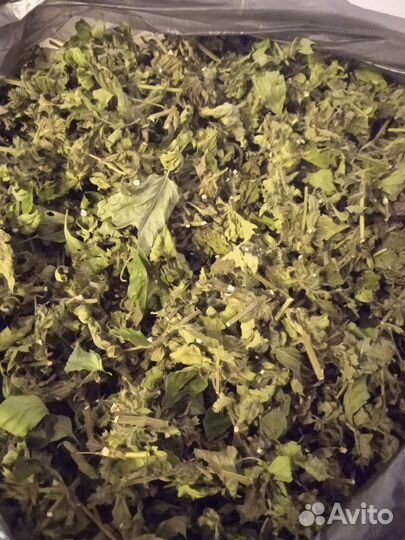 Лечебные травы и корни