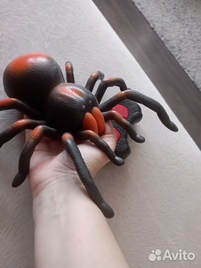 Паук на радиоуправлении