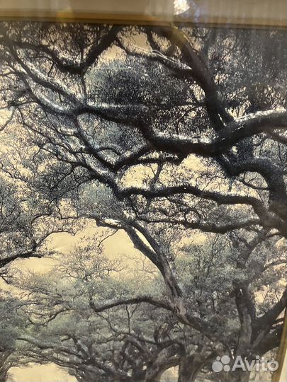 Картина СССР