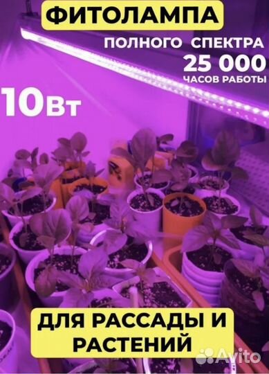 Фитолампа, фитосвет для растений/рассады