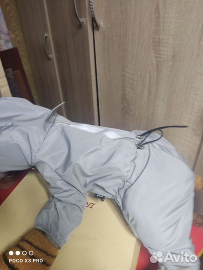 Дождевик для маленькой собаки