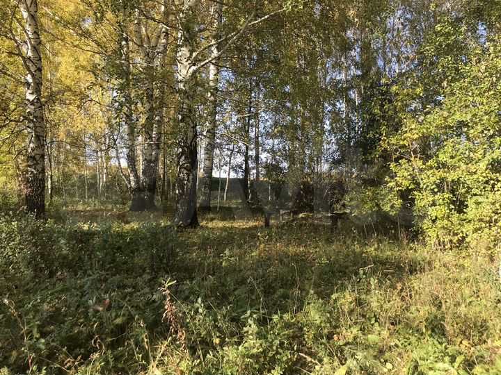 Участок 10 сот. (СНТ, ДНП)