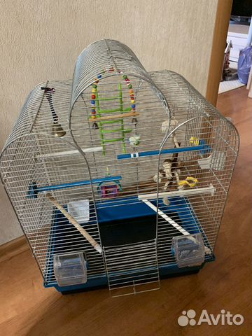 Клетка для попугая