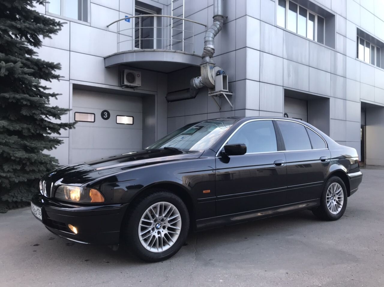 BMW 5 серия: фото владельца