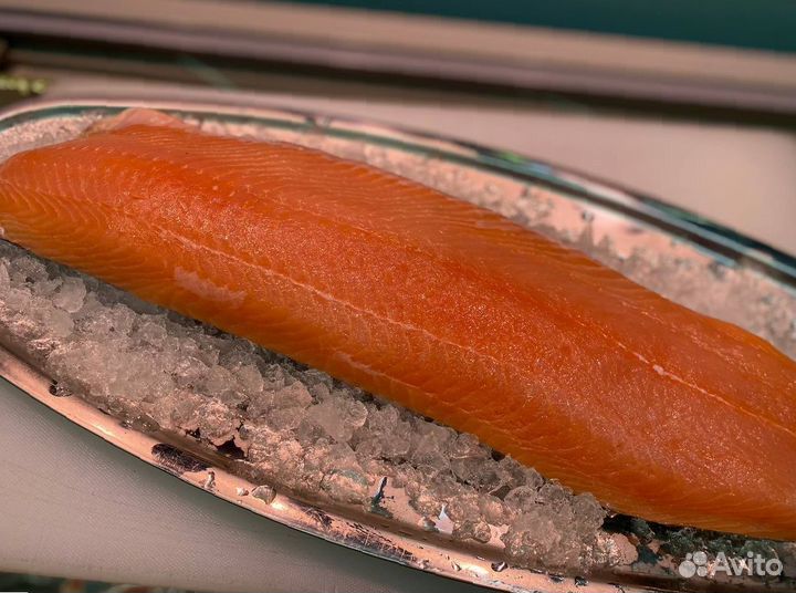 Лосось филе слабосолённый. Опт