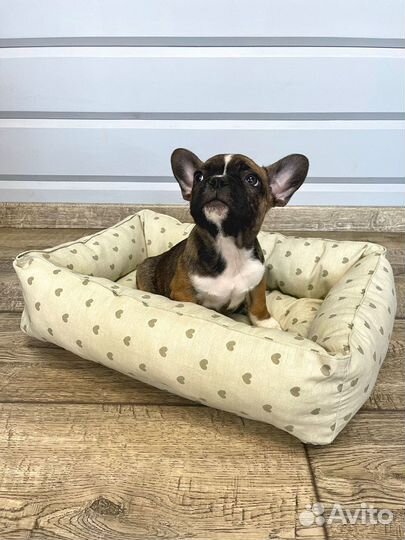 Лежак новый