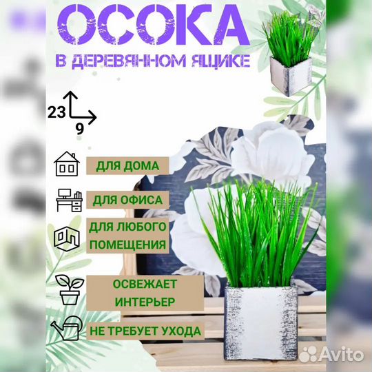 Осока в ящике