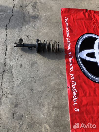 Полный сборе амортизатор Toyota Camry v55