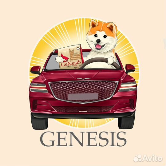 Кинологические услуги, кинолог, передержка собак