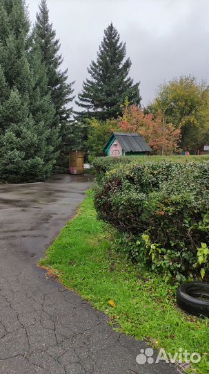 Домик под торговлю