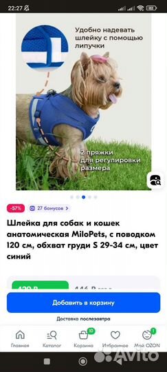 Шлейка для собак кошек анатомическая поводок выгул