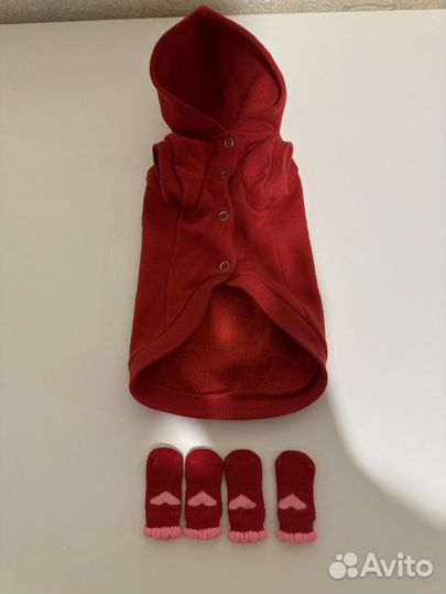 Одежда для собак и кошек