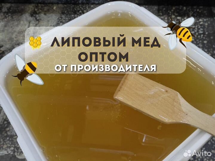 Липовый мёд качка 2023 год Опт