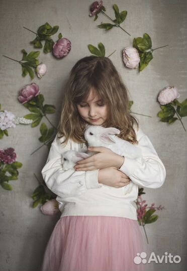 Питомник мини кроликов