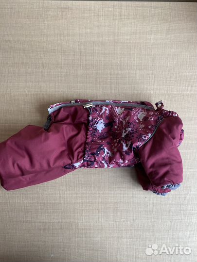 Комбинезон для маленькой собаки