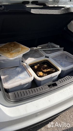 Молочай мед