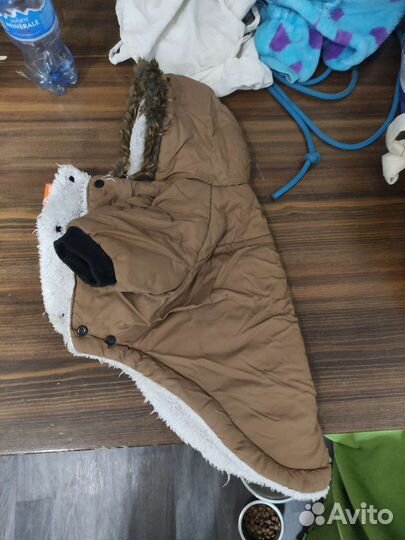 Одежда для маленьких собак