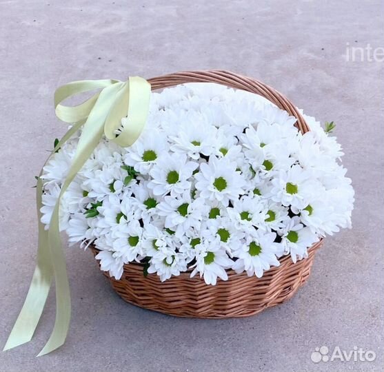 Хризантема Доставка цветов