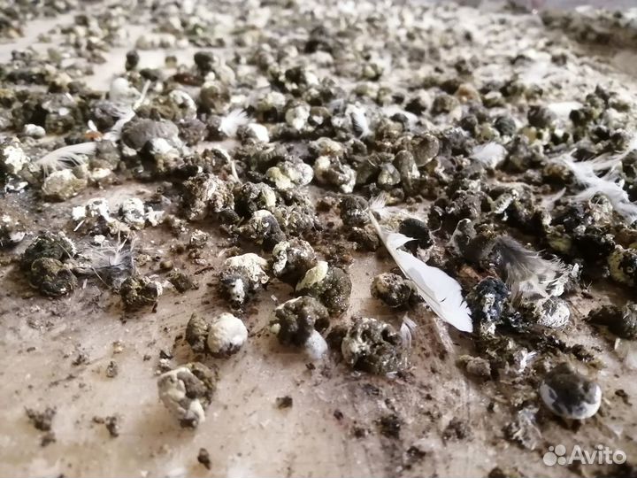 Помёт птичий перепелиный в мешках с доставкой