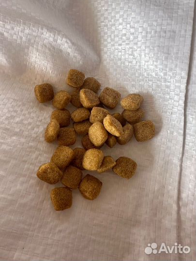 Сухой корм для кошек