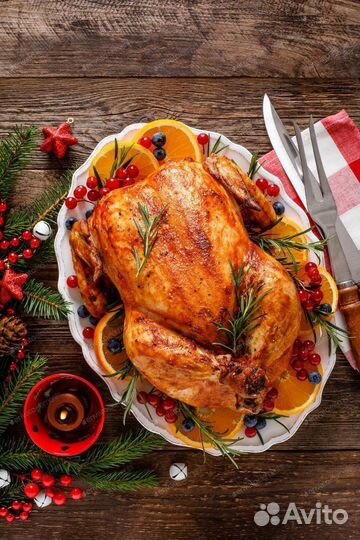 Куры домашние (бройлеры)