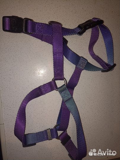 Шлейка для собаки