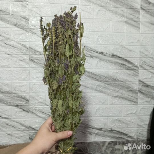 Травы для бани