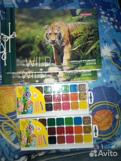 Альбомы и краски