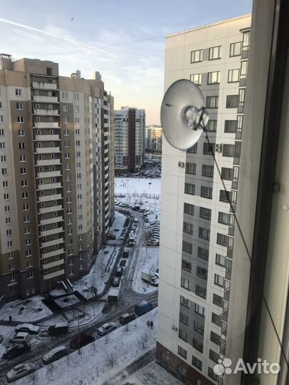 Лежанка для кошек новая, подвесная