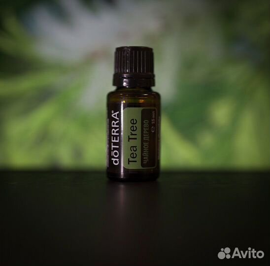 Эфирные масла doterra в ассортименте