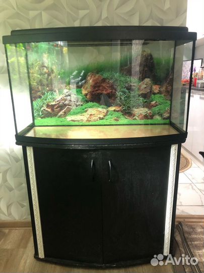 Аквариум с тумбой 100л б/у
