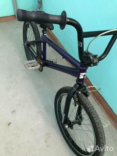 Bmx mongoose