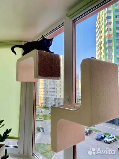 Когтеточки и домики для кошек новые