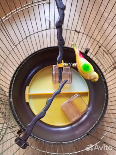 Клетка для попугая