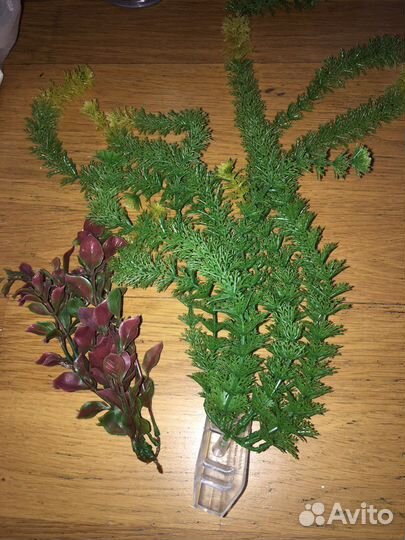 Для аквариума