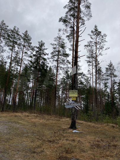 Участок 7 сот. (СНТ, ДНП)