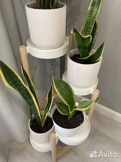 Подставка для растений с 4 полками сатсумас