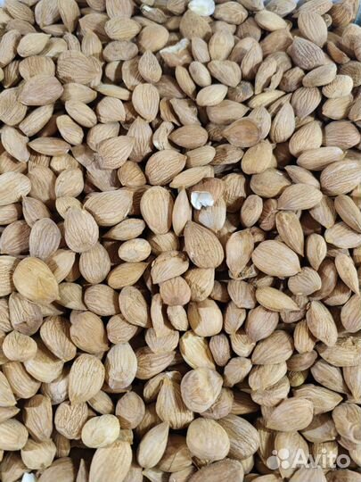 Абрикосовая косточка