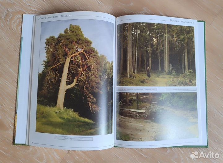 Шишкин книга новая