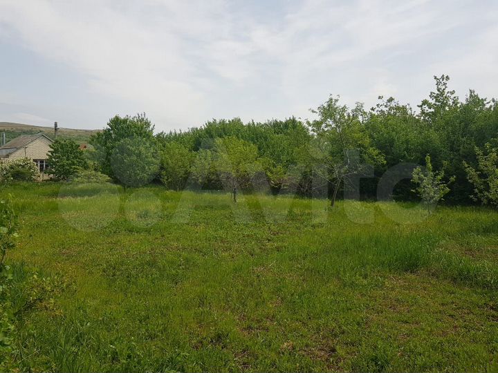 Участок 11,7 сот. (СНТ, ДНП)