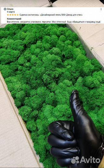 Стабилизированный мох от производителя moss